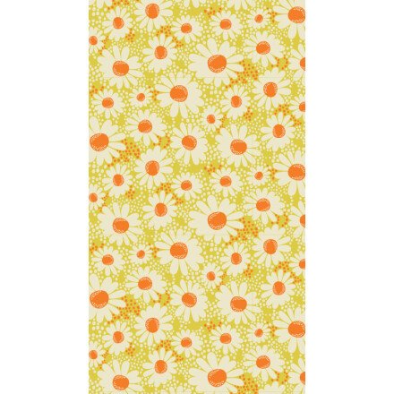 Transfert 30x40cm plastique marguerite vert