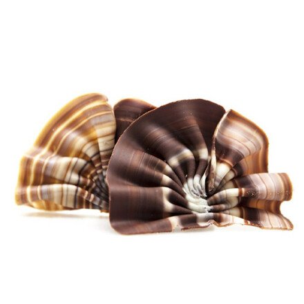 Forêt marble 6,5x4,5 cm 1 kg (+/- 165 pcs)