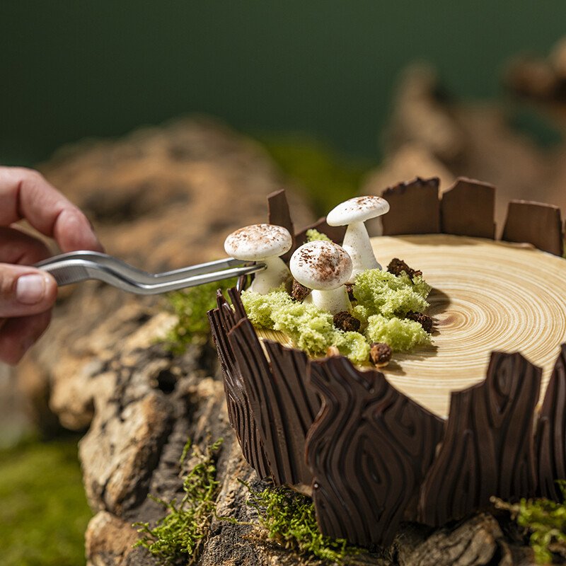 WOODLAND ENCHANTMENT