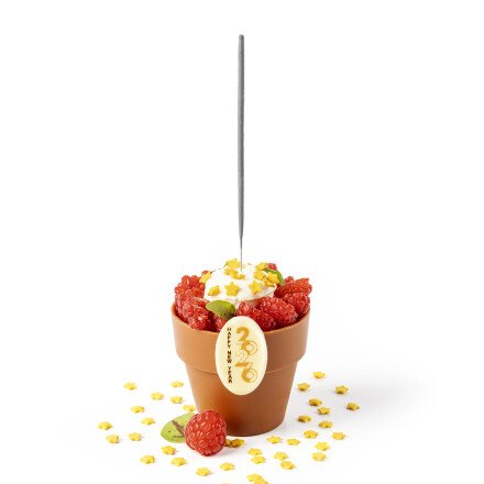 Plaatje Happy New Year 2026 3,9x2,3 cm