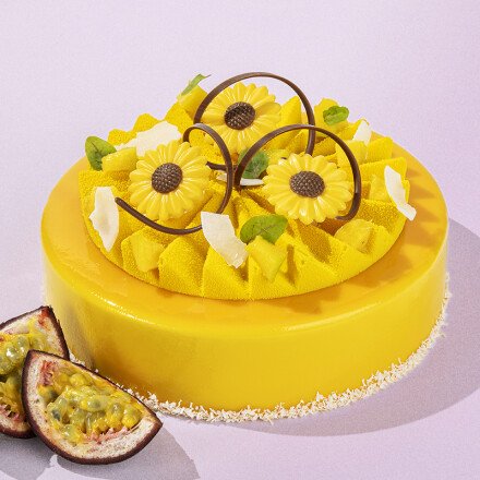 Zonnebloem wit 3,7 cm