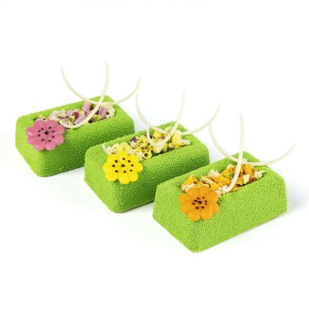 Margriet met stippen 2,5- 3 - 3,5 cm