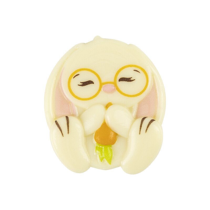 Konijn met bril 3,6x4,1 cm