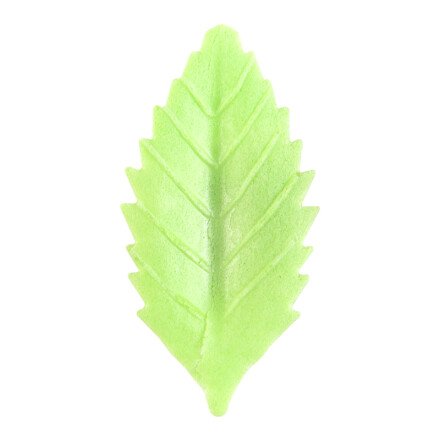 Light green leaf 4.1x2.1 cm